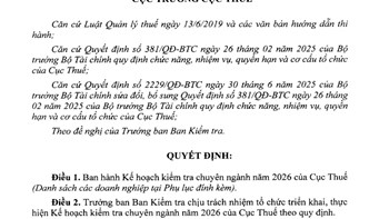 Loạt “ông lớn” BĐS vào tầm ngắm kiểm tra thuế 2026: Bcons, Tiến Phước, Thắng Lợi, Gamuda Land… đều có tên  - 1