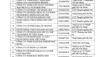 Loạt “ông lớn” BĐS vào tầm ngắm kiểm tra thuế 2026: Bcons, Tiến Phước, Thắng Lợi, Gamuda Land… đều có tên  - 2