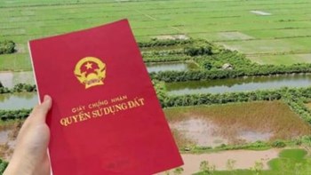 Cẩn Thận: Biến Đất Trồng Lúa Thành Đất Ở Ở Hà Nội Có Thể Bị Phạt Tới 400 Triệu Đồng 