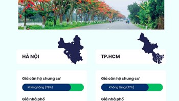 Báo cáo thị trường bất động sản tháng 5/2025  - 2
