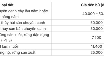 Bảng giá đền bù đất nông nghiệp 2024 ở TPHCM và Hà Nội theo Quyết định số 30 năm 2019  - 2