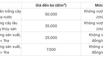 Bảng giá đền bù đất nông nghiệp 2024 ở TPHCM và Hà Nội theo Quyết định số 30 năm 2019  - 1