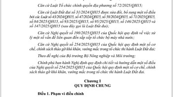Chủ tịch UBND cấp xã được cấp sổ đỏ hoặc xác nhận thay đổi trên giấy chứng nhận đã cấp theo Nghị định mới số 49/2026  - 1