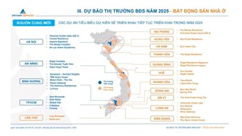 Liệu 2025 có phải là một năm khởi sắc của bất động sản? - 2