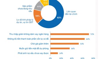 Liệu 2025 có phải là một năm khởi sắc của bất động sản? - 4