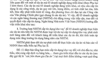 Nhìn từ quyết định "đặc cách" cho 18 dự án của Vingroup, Sun Group và Masterise  - 1