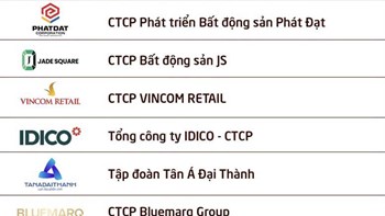 Lộ diện 20 doanh nghiệp bất động sản nộp ngân sách lớn nhất việt nam 2026: - 1