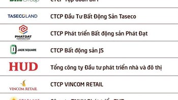 Lộ diện 20 doanh nghiệp bất động sản nộp ngân sách lớn nhất việt nam 2026: - 2