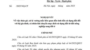 NÊN "TẠM NGƯNG" ĐÓNG TIỀN SỬ DỤNG ĐẤT NGAY LÚC NÀY   - 2