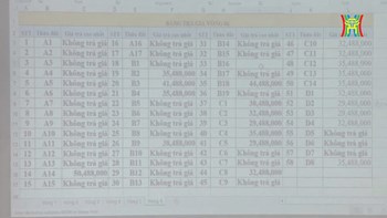 Trả giá tới 30 tỷ đồng/m² đất Sóc Sơn rồi đồng loạt bỏ: một số đối tượng đang coi đấu giá như một trò đùa! - 2