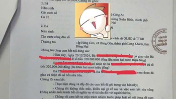 Đất nông nghiệp phân lô, mua hay không?  - 3