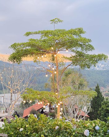 2026 – Tín dụng, thị trường bất động sản: Luật chơi và xu hướng - 1