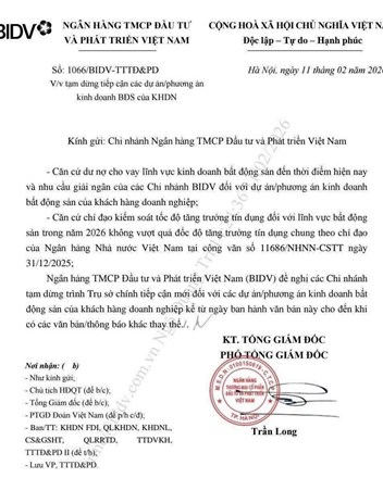 Kèo này căng 😂: Bất động sản đang leo dốc thì ngân hàng… kéo phanh tay - 1