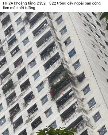 Người ta gọi vui đây là “Cửu Long Thành Trại bản Việt”, mà nhìn cái ảnh ở khu Linh Đàm thì đúng là cũng có lý do để gọi như vậy thật! - 1