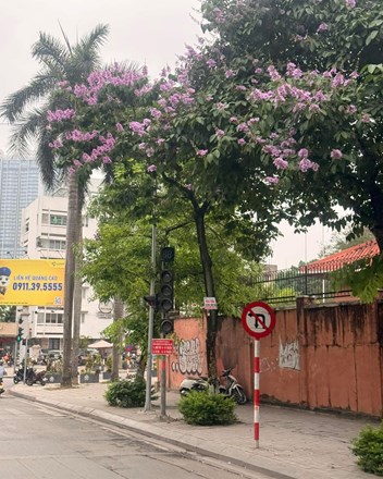 Khi cái mét vuông mà bạn vừa bán đi hôm qua, ngày mai đã có thể trở thành một gia sản mà cả đời người lao động cũng không bao giờ chạm tới được lần thứ hai - 1