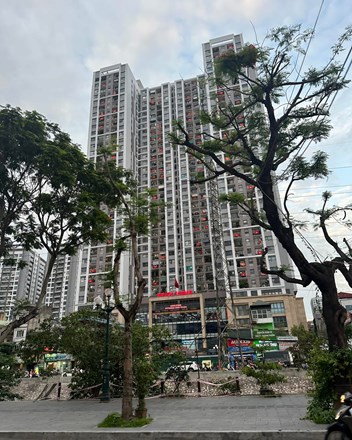 Đất nền, Chung cư, Nhà phố song hành dẫn dắt thị trường bất động sản trong quý đầu năm 2025 - 1