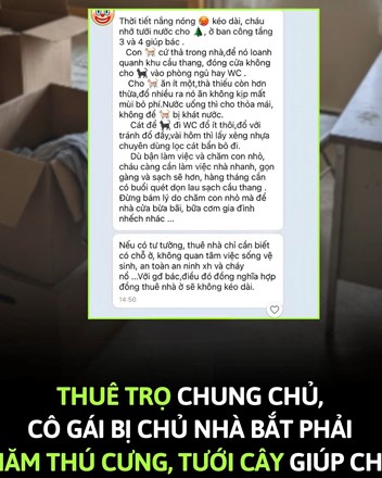 Khi hợp đồng thuê nhà biến thành... hợp đồng lao động không lương - 1