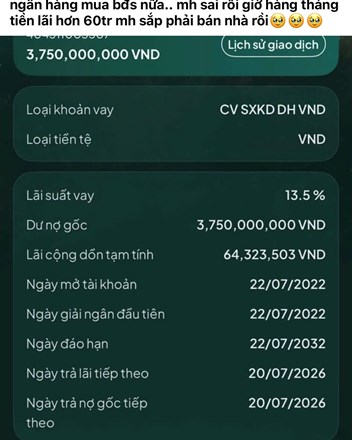Mở mắt ra là 60 triệu tiền lãi thả nổi: Cơn ác mộng lãi suất và bài học đu đỉnh bất động sản - 1