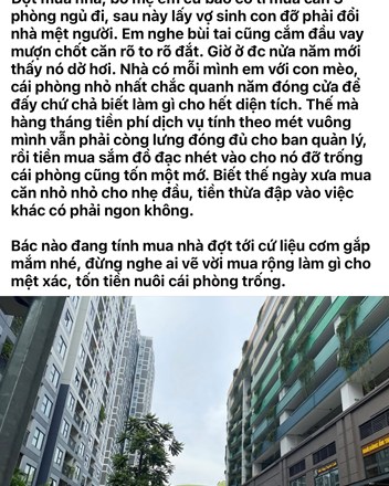 Ở một mình nuôi thêm con mèo nhưng "cố" mua căn 3 ngủ và cái kết đắng lòng - 1