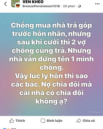 Nữ chính "bó cẩn" một cách hợp lý: Theo các bác, chồng mua nhà trả góp trước hôn nhân, nhưng sau khi cưới thì 2 vợ chồng cùng trả, nhưng nhà vẫn đứng tên 1 mình chồng, vậy lúc ly hôn thì sao các bác? - 1