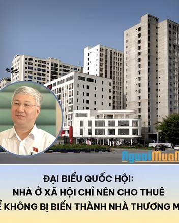 Nhà ở xã hội – Chìa khóa an cư hay cánh cửa méo mó? Bài 1: Nên chỉ cho thuê để không lạc khỏi quỹ đạo an sinh? - 1