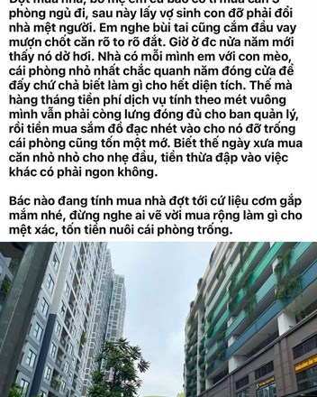 Ở một mình nuôi thêm con mèo nhưng "cố" mua căn 3 ngủ và cái kết đắng lòng 😂 - 1