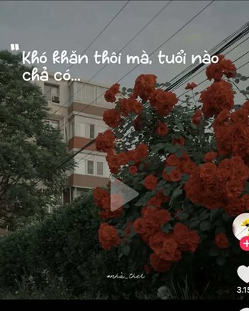TỤI MÌNH QUYẾT ĐỊNH " BÁN NHÀ " RỒI !!!  - 1