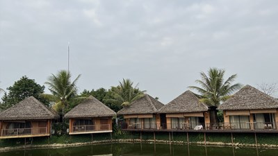 Kinh doanh farmstay: Phát triển ồ ạt - dễ mất kiểm soát