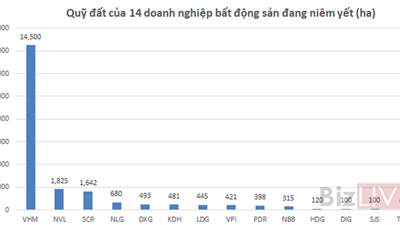 Top 5 doanh nghiệp bất động sản sở hữu quỹ đất ở lớn nhất, họ là ai?