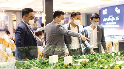 Tâm lý người mua nhà đang thay đổi: Chọn không khí thay vì địa chỉ