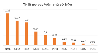 Bức tranh các đại gia địa ốc quý đầu năm 2019: Ngộp thở với hàng tồn và lãi vay!