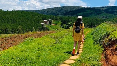 Review bất động sản Đà Lạt - vùng đất nhiều người 'mộng mơ'