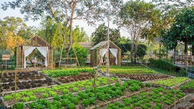 Xuất hiện mô hình đầu tư BĐS nông trại, bỏ ra vài tỉ đồng sở hữu hàng ngàn m2 đất, cho thuê lại hàng chục triệu đồng mỗi tháng?