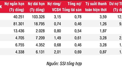 Novaland là công ty vay mượn nhiều nhất trong các doanh nghiệp bất động sản