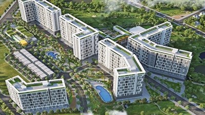 Thắng Lợi Group lại rục rịch bán hàng, có nên tin vào cú tái xuất này không các bác nhỉ? 