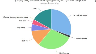 Doanh nghiệp nào phát hành trái phiếu nhiều nhất