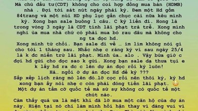 Mấy ngày nay, câu chuyện của Ngô Thanh Vân được chia sẻ rất nhiều trong giới bất động sản