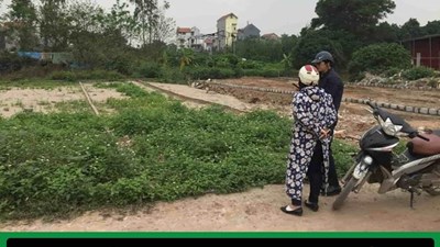 Giá nhà đắt đỏ, thu nhập cao cũng bất lực: Một hiện thực “đáng báo động”