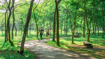 Ở ven đô thích hơn! – Xu hướng mới của thị trường bất động sản sau Covid