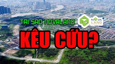 Lãi hơn 3300 tỷ năm 2019, tại sao Novaland vẫn phải kêu cứu?