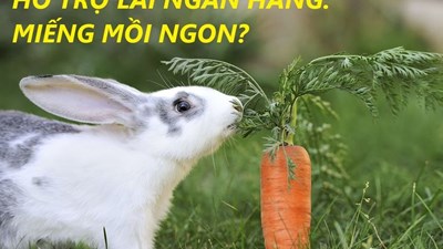 Hỗ trợ lãi suất ngân hàng: Miếng mồi ngon?