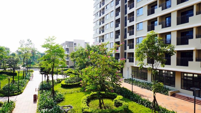 Tôi từng suýt mất cả tiền lẫn nhà chỉ vì nghĩ “thuê mua NOXH” cũng gần giống… mua rồi - 1