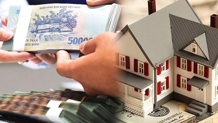 NÀY CÓ PHẢI ĐÀO LỬA KHÔNG CẢ NHÀ?  - 1