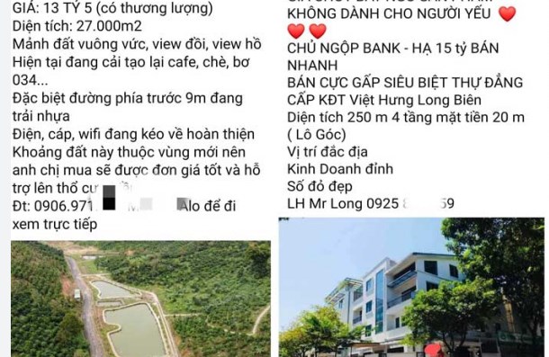 Tỉnh táo trước ma trận thật-giả lẫn lộn của những lời chời mời: "Cắt lỗ" , "Bán tháo", "Ngộp bank" - 1