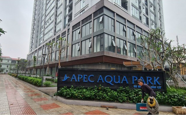 Công ty "họ APEC" API kinh doanh ra sao sau vụ thao túng chứng khoán đình đám khiến chủ tịch vướng lao lý? - 1