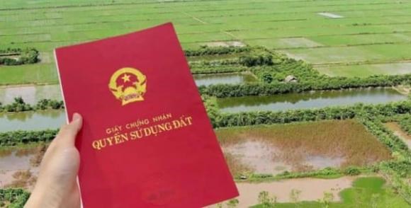 Cẩn Thận: Biến Đất Trồng Lúa Thành Đất Ở Ở Hà Nội Có Thể Bị Phạt Tới 400 Triệu Đồng  - 1