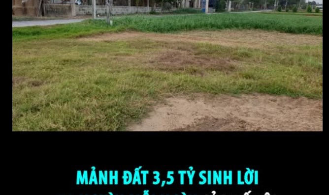 MẢNH ĐẤT 3,5 TỶ SINH LỜI 70 NGHÌN MỖI NGÀY CỦA BỐ TÔI  - 1