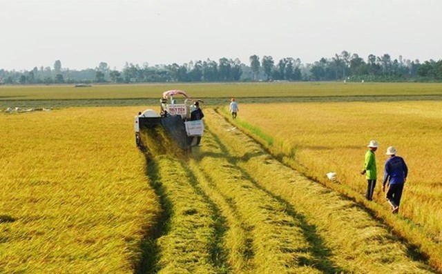 Điểm mới của Luật Đất đai 2024: Không cần xác nhận là "nông dân" vẫn được nhận chuyển nhượng đất lúa  - 1