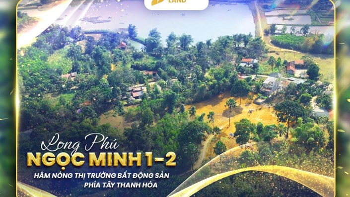 Công ty Cổ phần Tập đoàn Đầu tư Việt Long: Bức tranh doanh nghiệp sau lệnh cưỡng chế thuế  - 1