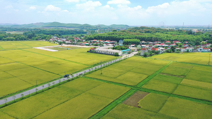 Đề xuất giảm đến 70% tiền chuyển mục đích đất nông nghiệp sang đất ở - 1
